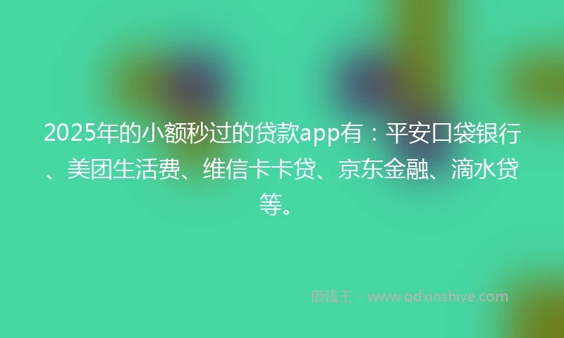 2025年的小额秒过的贷款app有：平安口袋银行、美团生活费、维信卡卡贷、京东金融、滴水贷等。