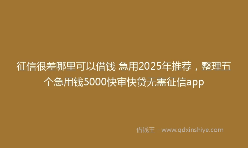 征信很差哪里可以借钱 急用2025年推荐，整理五个急用钱5000快审快贷无需征信app