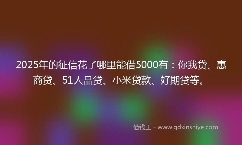 2025年的征信花了哪里能借5000有：你我贷、惠商贷、51人品贷、小米贷款、好期贷等。