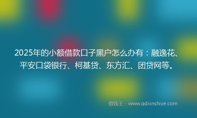 2025年的小额借款口子黑户怎么办有：融逸花、平安口袋银行、柯基贷、东方汇、团贷网等。
