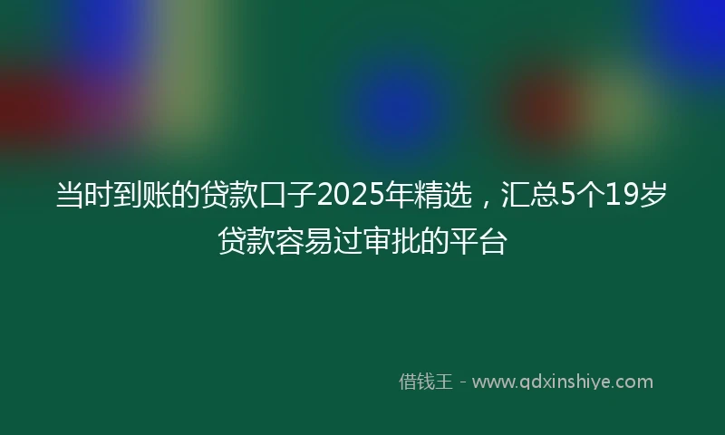当时到账的贷款口子2025年精选，汇总5个19岁贷款容易过审批的平台