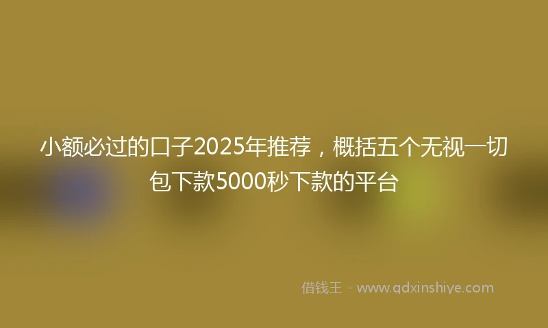 小额必过的口子2025年推荐，概括五个无视一切包下款5000秒下款的平台