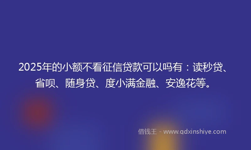 2025年的小额不看征信贷款可以吗有：读秒贷、省呗、随身贷、度小满金融、安逸花等。