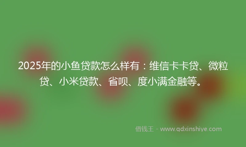 2025年的小鱼贷款怎么样有：维信卡卡贷、微粒贷、小米贷款、省呗、度小满金融等。
