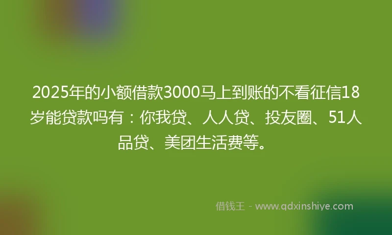 2025年的小额借款3000马上到账的不看征信18岁能贷款吗有：你我贷、人人贷、投友圈、51人品贷、美团生活费等。