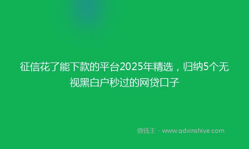 征信花了能下款的平台2025年精选，归纳5个无视黑白户秒过的网贷口子