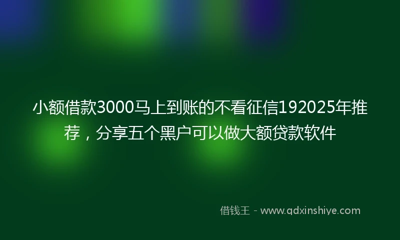 小额借款3000马上到账的不看征信192025年推荐，分享五个黑户可以做大额贷款软件