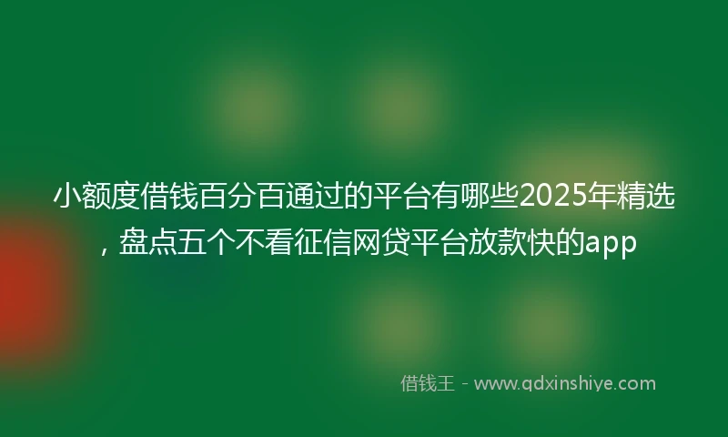 小额度借钱百分百通过的平台有哪些2025年精选，盘点五个不看征信网贷平台放款快的app