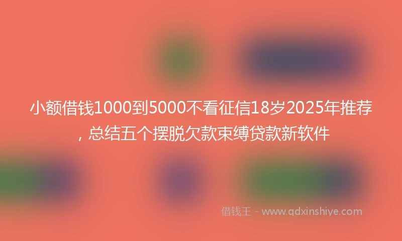 小额借钱1000到5000不看征信18岁2025年推荐，总结五个摆脱欠款束缚贷款新软件