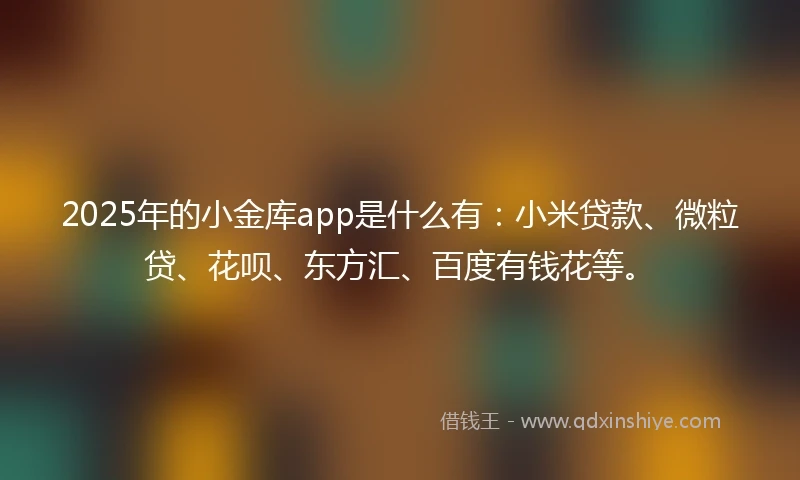 2025年的小金库app是什么有：小米贷款、微粒贷、花呗、东方汇、百度有钱花等。