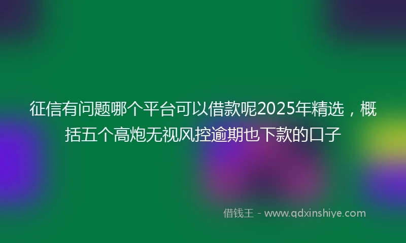 征信有问题哪个平台可以借款呢2025年精选,概括五个高炮无视风控逾期也下款的口子