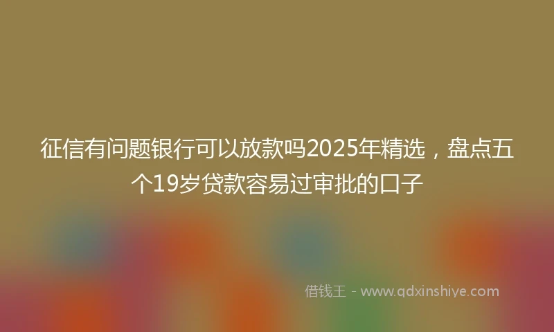 征信有问题银行可以放款吗2025年精选，盘点五个19岁贷款容易过审批的口子
