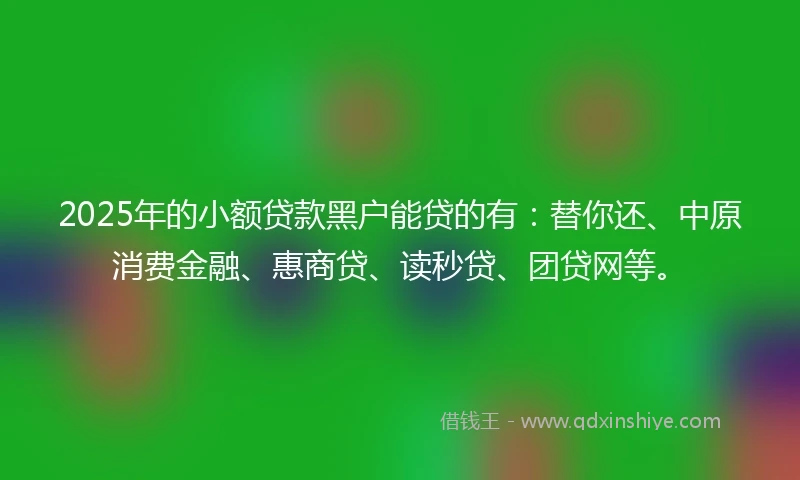 2025年的小额贷款黑户能贷的有：替你还、中原消费金融、惠商贷、读秒贷、团贷网等。