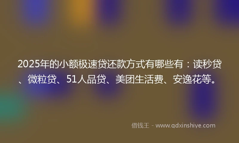 2025年的小额极速贷还款方式有哪些有：读秒贷、微粒贷、51人品贷、美团生活费、安逸花等。