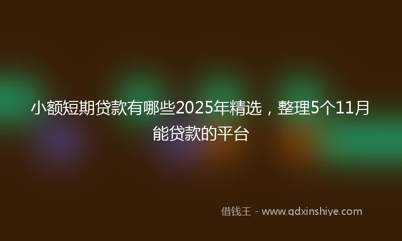 小额短期贷款有哪些2025年精选，整理5个11月能贷款的平台