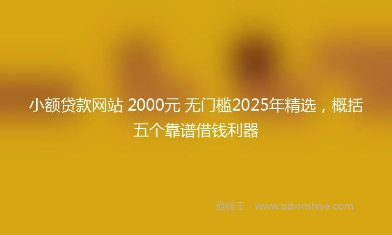 小额贷款网站 2000元 无门槛2025年精选，概括五个靠谱借钱利器