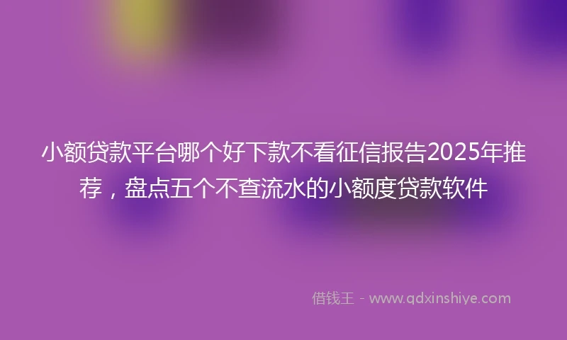 小额贷款平台哪个好下款不看征信报告2025年推荐，盘点五个不查流水的小额度贷款软件