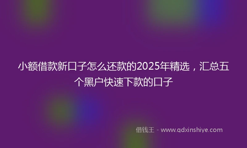 小额借款新口子怎么还款的2025年精选，汇总五个黑户快速下款的口子