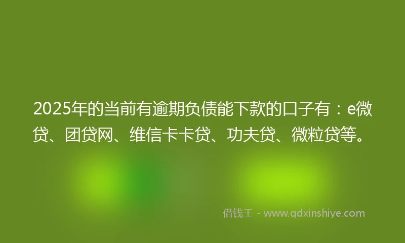 2025年的当前有逾期负债能下款的口子有：e微贷、团贷网、维信卡卡贷、功夫贷、微粒贷等。