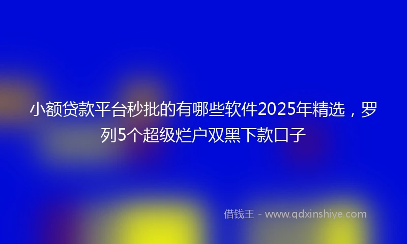 小额贷款平台秒批的有哪些软件2025年精选，罗列5个超级烂户双黑下款口子