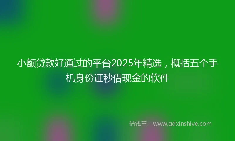 小额贷款好通过的平台2025年精选，概括五个手机身份证秒借现金的软件