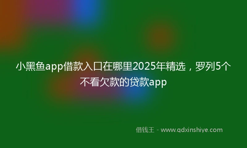 小黑鱼app借款入口在哪里2025年精选，罗列5个不看欠款的贷款app