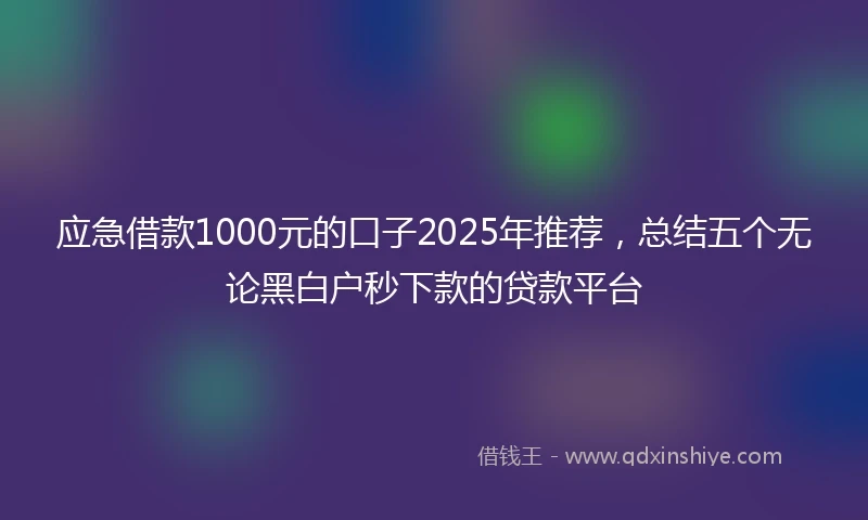 应急借款1000元的口子2025年推荐，总结五个无论黑白户秒下款的贷款平台