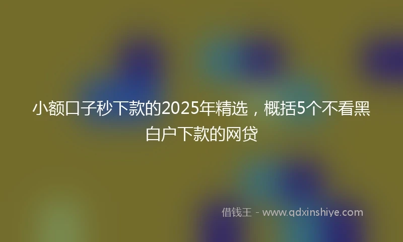 小额口子秒下款的2025年精选，概括5个不看黑白户下款的网贷