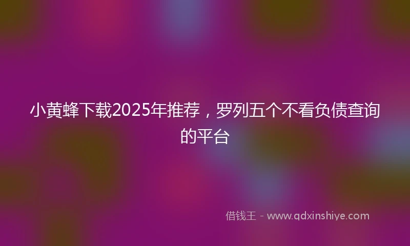 小黄蜂下载2025年推荐，罗列五个不看负债查询的平台