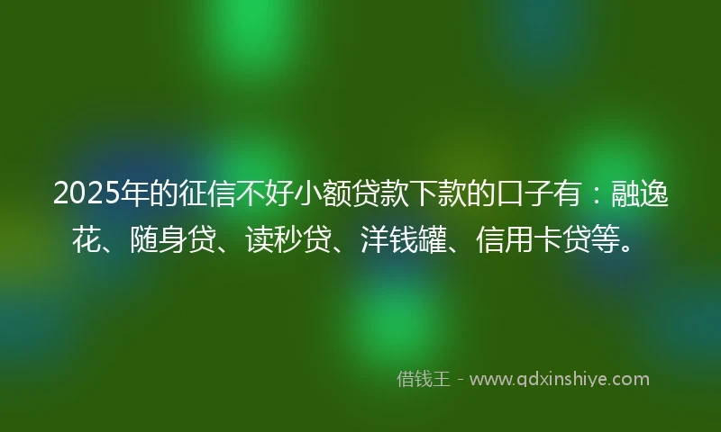 2025年的征信不好小额贷款下款的口子有：融逸花、随身贷、读秒贷、洋钱罐、信用卡贷等。