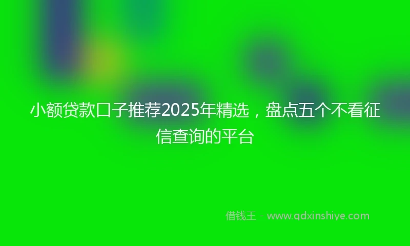 小额贷款口子推荐2025年精选，盘点五个不看征信查询的平台