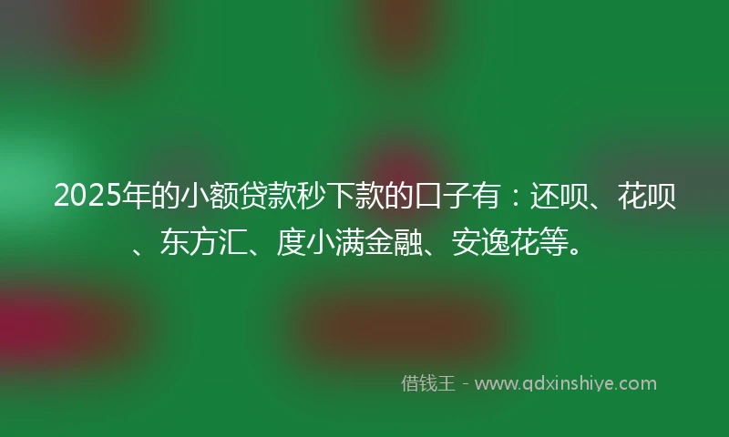 2025年的小额贷款秒下款的口子有：还呗、花呗、东方汇、度小满金融、安逸花等。