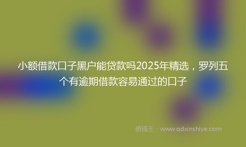 小额借款口子黑户能贷款吗2025年精选，罗列五个有逾期借款容易通过的口子