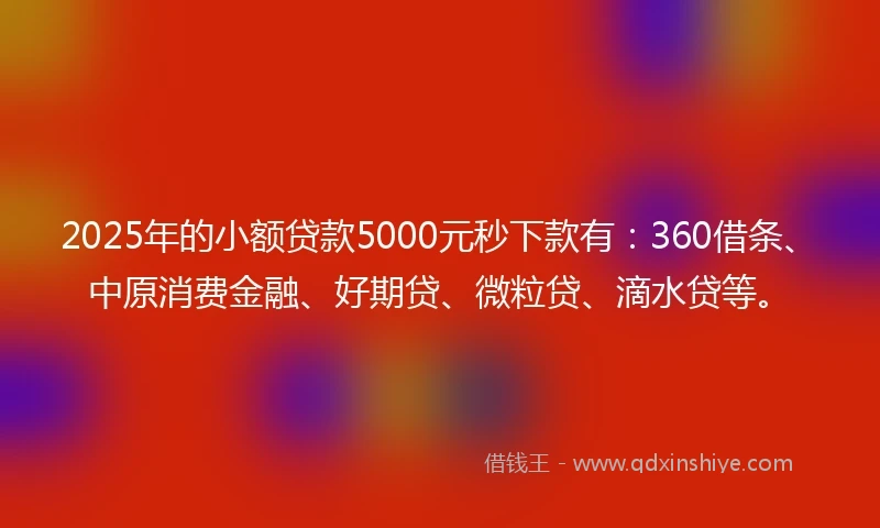 2025年的小额贷款5000元秒下款有：360借条、中原消费金融、好期贷、微粒贷、滴水贷等。