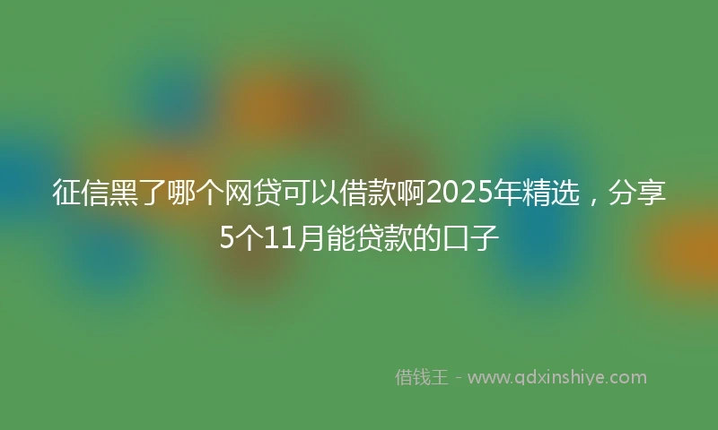 征信黑了哪个网贷可以借款啊2025年精选，分享5个11月能贷款的口子