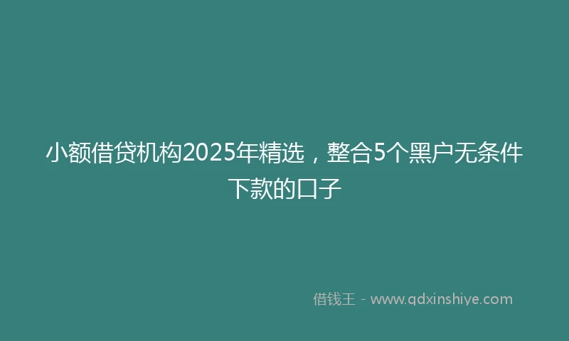 小额借贷机构2025年精选，整合5个黑户无条件下款的口子