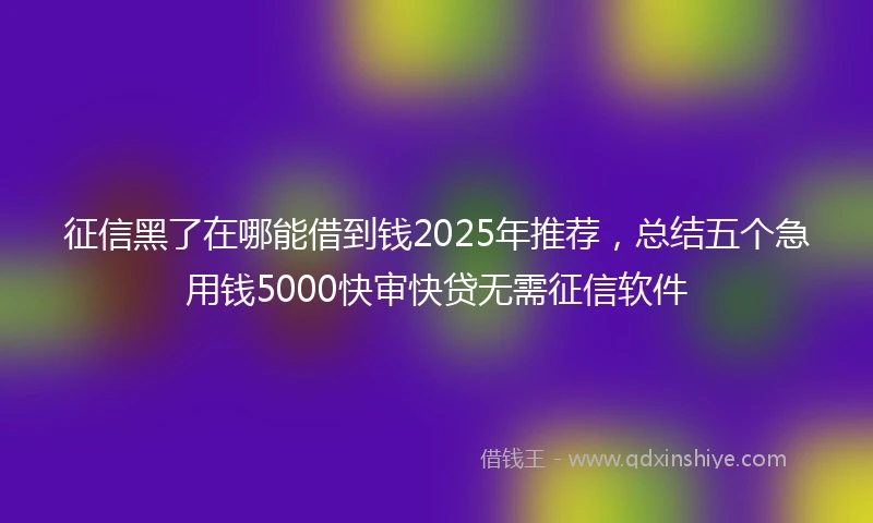征信黑了在哪能借到钱2025年推荐，总结五个急用钱5000快审快贷无需征信软件