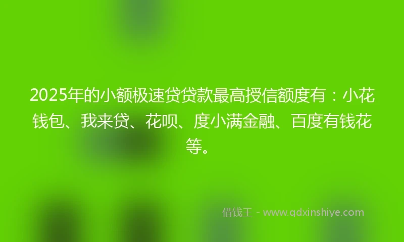 2025年的小额极速贷贷款最高授信额度有：小花钱包、我来贷、花呗、度小满金融、百度有钱花等。