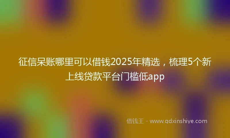 征信呆账哪里可以借钱2025年精选，梳理5个新上线贷款平台门槛低app