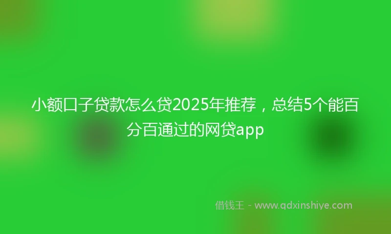 小额口子贷款怎么贷2025年推荐，总结5个能百分百通过的网贷app