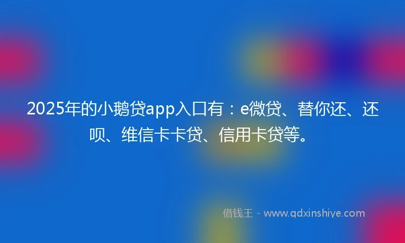 2025年的小鹅贷app入口有：e微贷、替你还、还呗、维信卡卡贷、信用卡贷等。