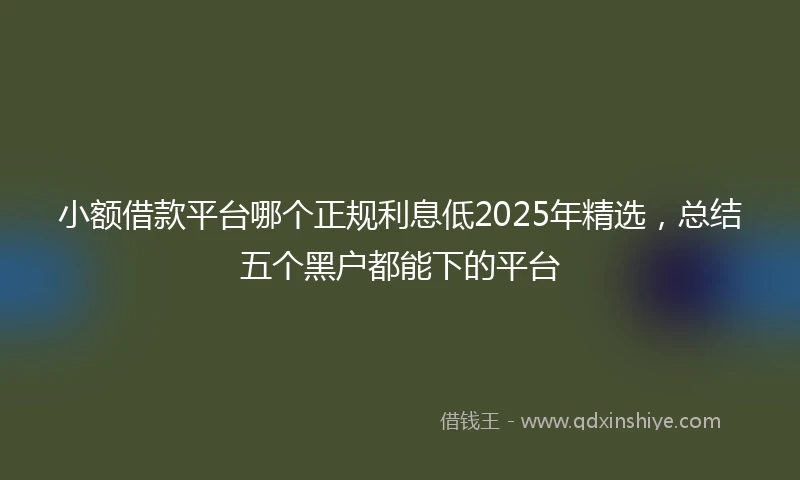 小额借款平台哪个正规利息低2025年精选，总结五个黑户都能下的平台