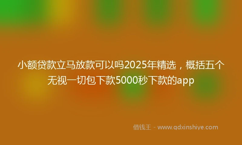 小额贷款立马放款可以吗2025年精选，概括五个无视一切包下款5000秒下款的app