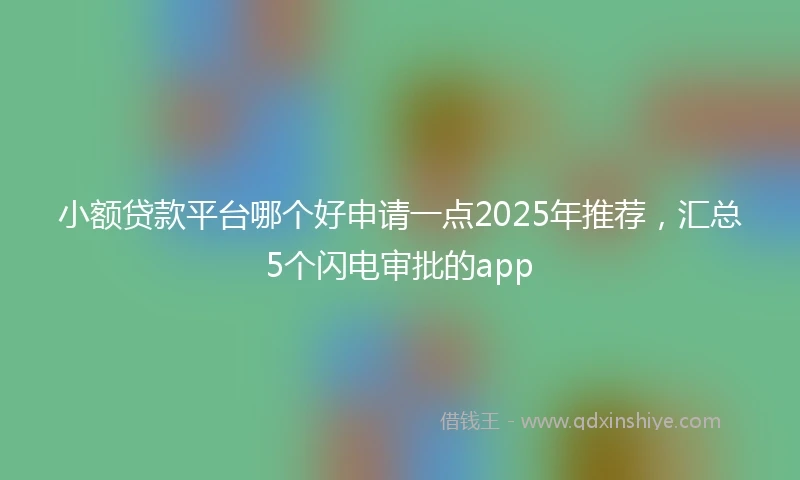 小额贷款平台哪个好申请一点2025年推荐，汇总5个闪电审批的app