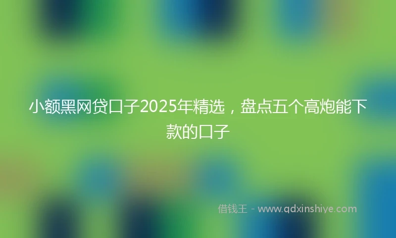 小额黑网贷口子2025年精选，盘点五个高炮能下款的口子