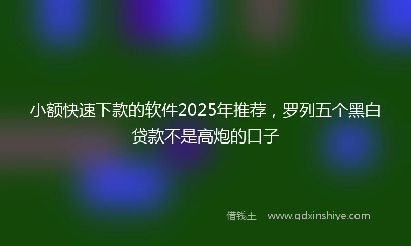 小额快速下款的软件2025年推荐，罗列五个黑白贷款不是高炮的口子