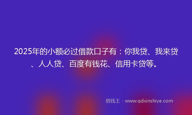 2025年的小额必过借款口子有：你我贷、我来贷、人人贷、百度有钱花、信用卡贷等。