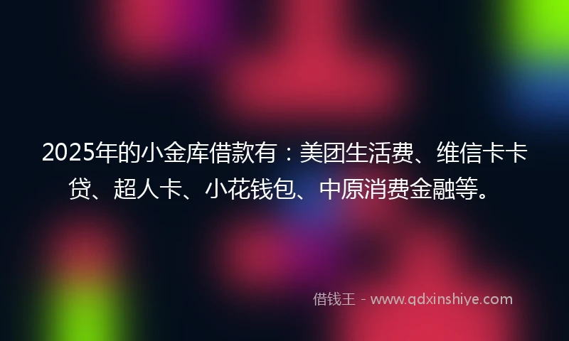 2025年的小金库借款有：美团生活费、维信卡卡贷、超人卡、小花钱包、中原消费金融等。