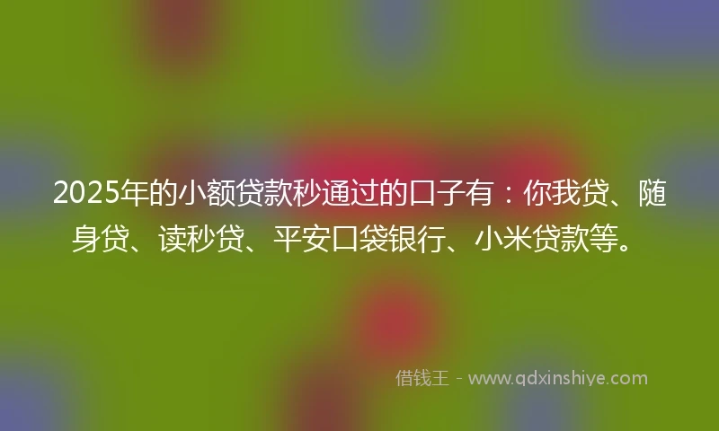 2025年的小额贷款秒通过的口子有：你我贷、随身贷、读秒贷、平安口袋银行、小米贷款等。