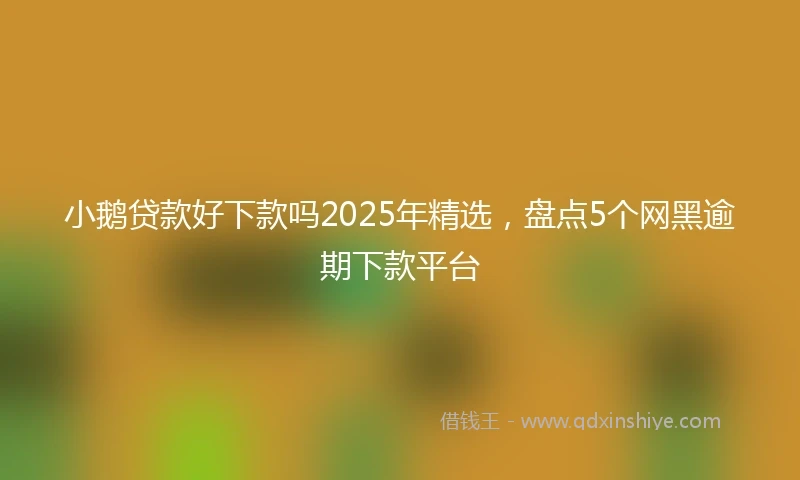 小鹅贷款好下款吗2025年精选，盘点5个网黑逾期下款平台